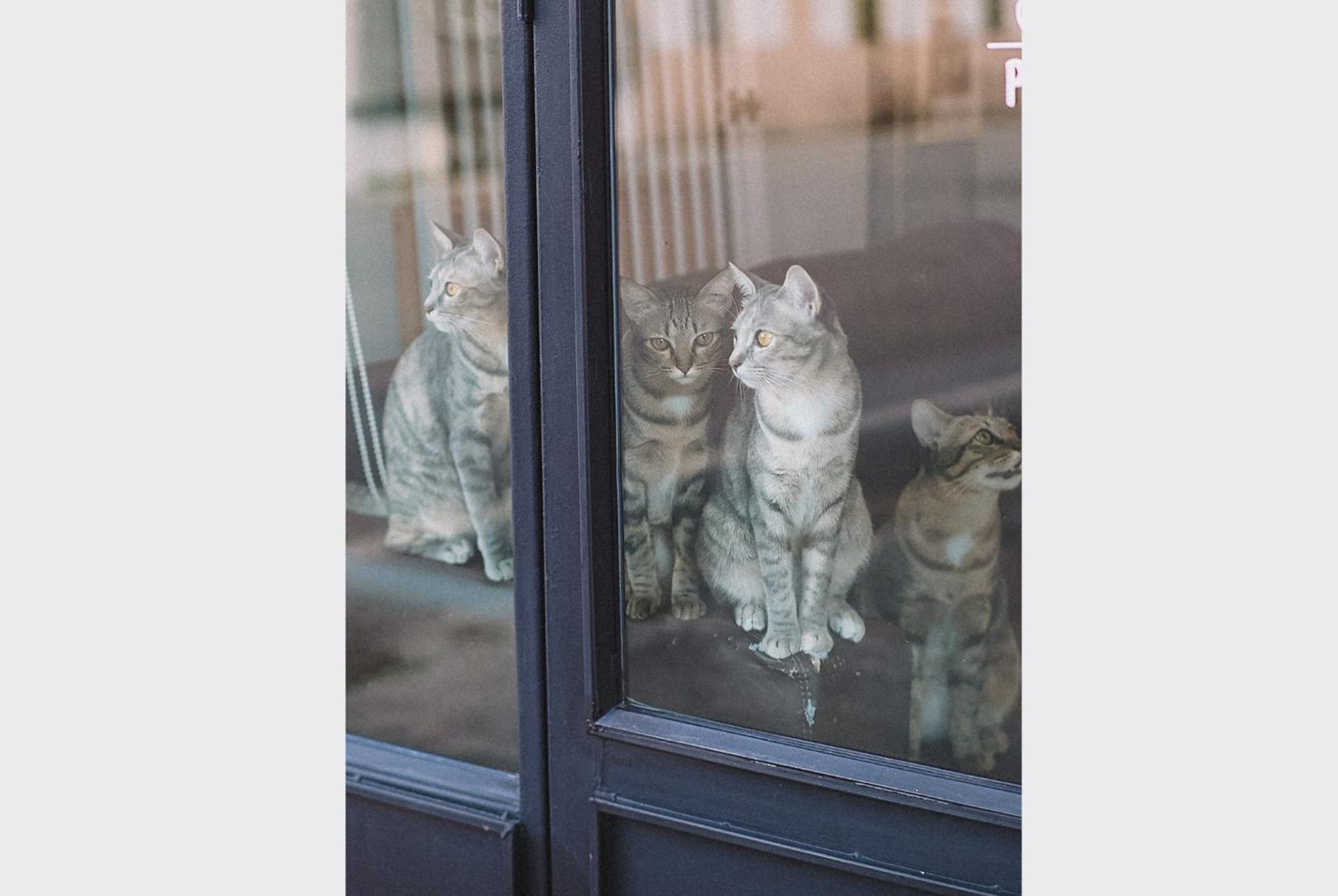 Sleepy House Chiang Rai Bed & Breakfast エクステリア 写真