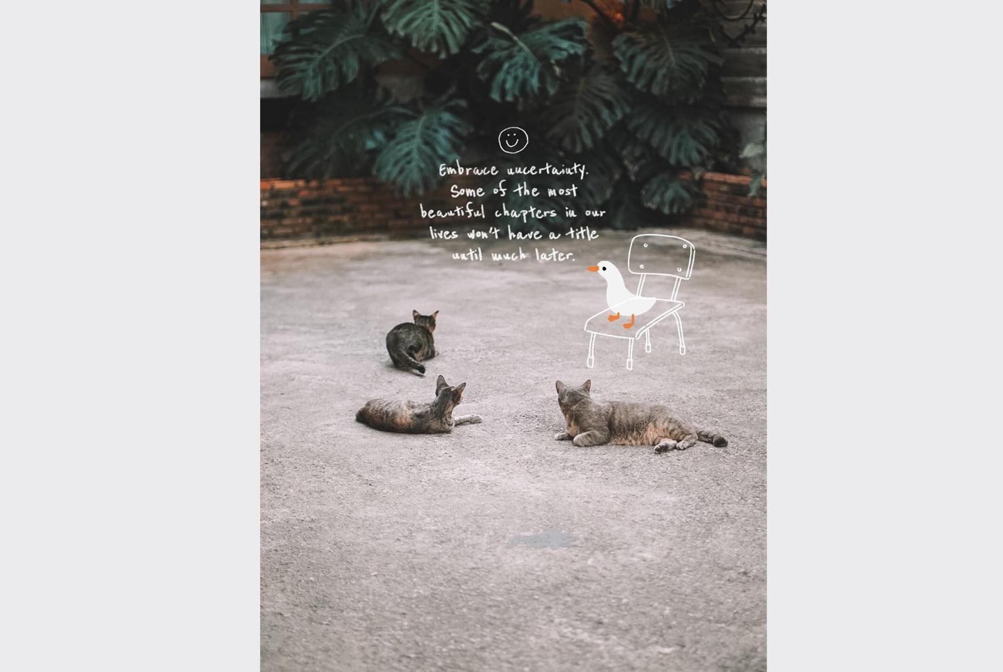 Sleepy House Chiang Rai Bed & Breakfast エクステリア 写真