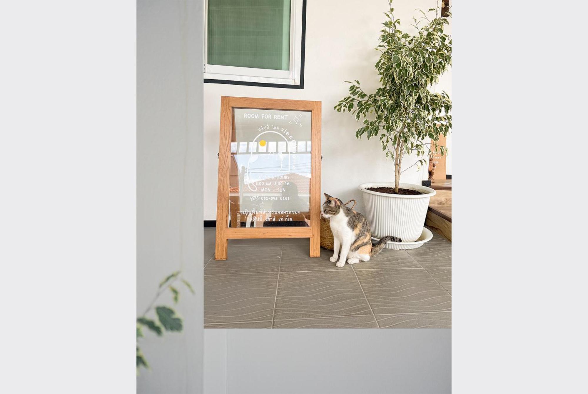 Sleepy House Chiang Rai Bed & Breakfast エクステリア 写真