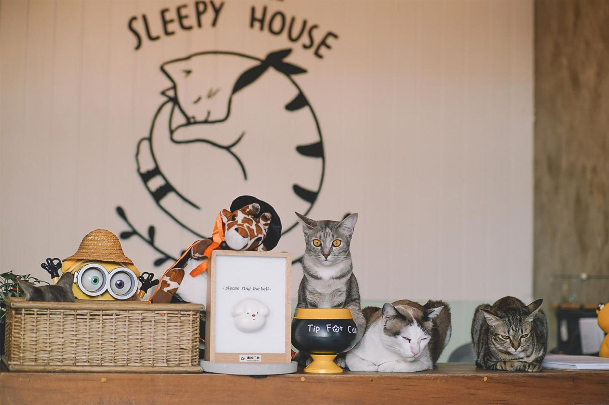 Sleepy House Chiang Rai Bed & Breakfast エクステリア 写真