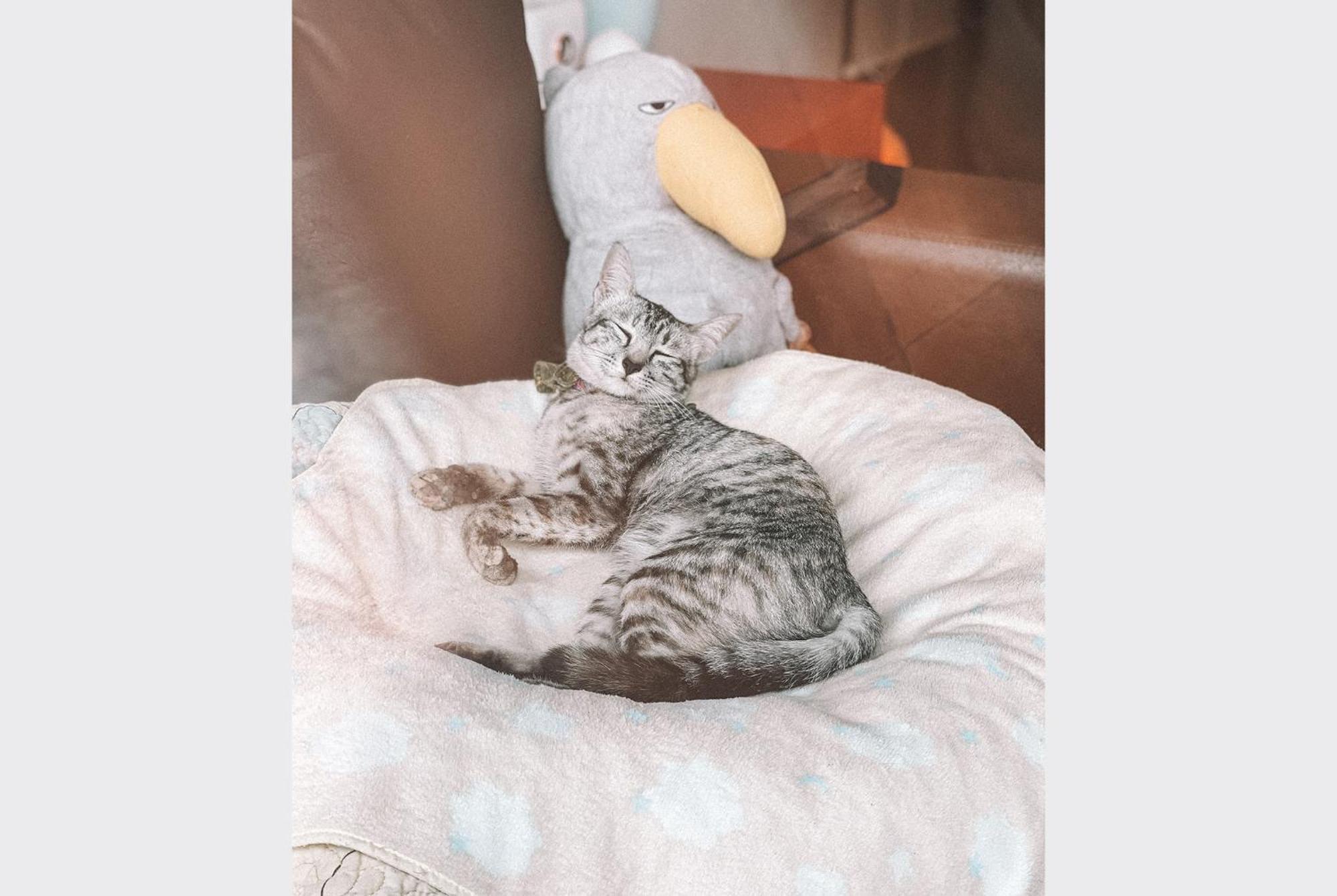 Sleepy House Chiang Rai Bed & Breakfast エクステリア 写真