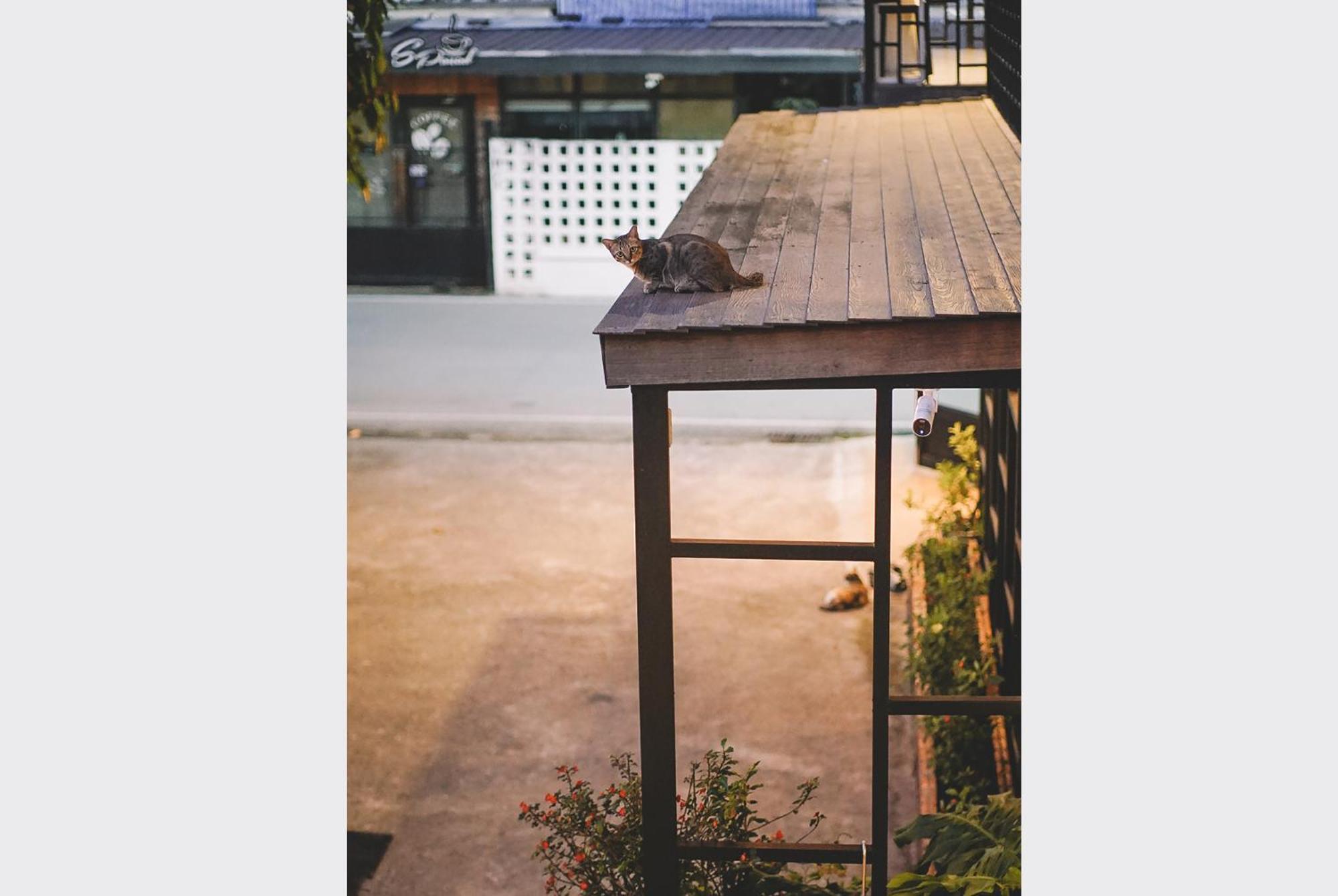 Sleepy House Chiang Rai Bed & Breakfast エクステリア 写真