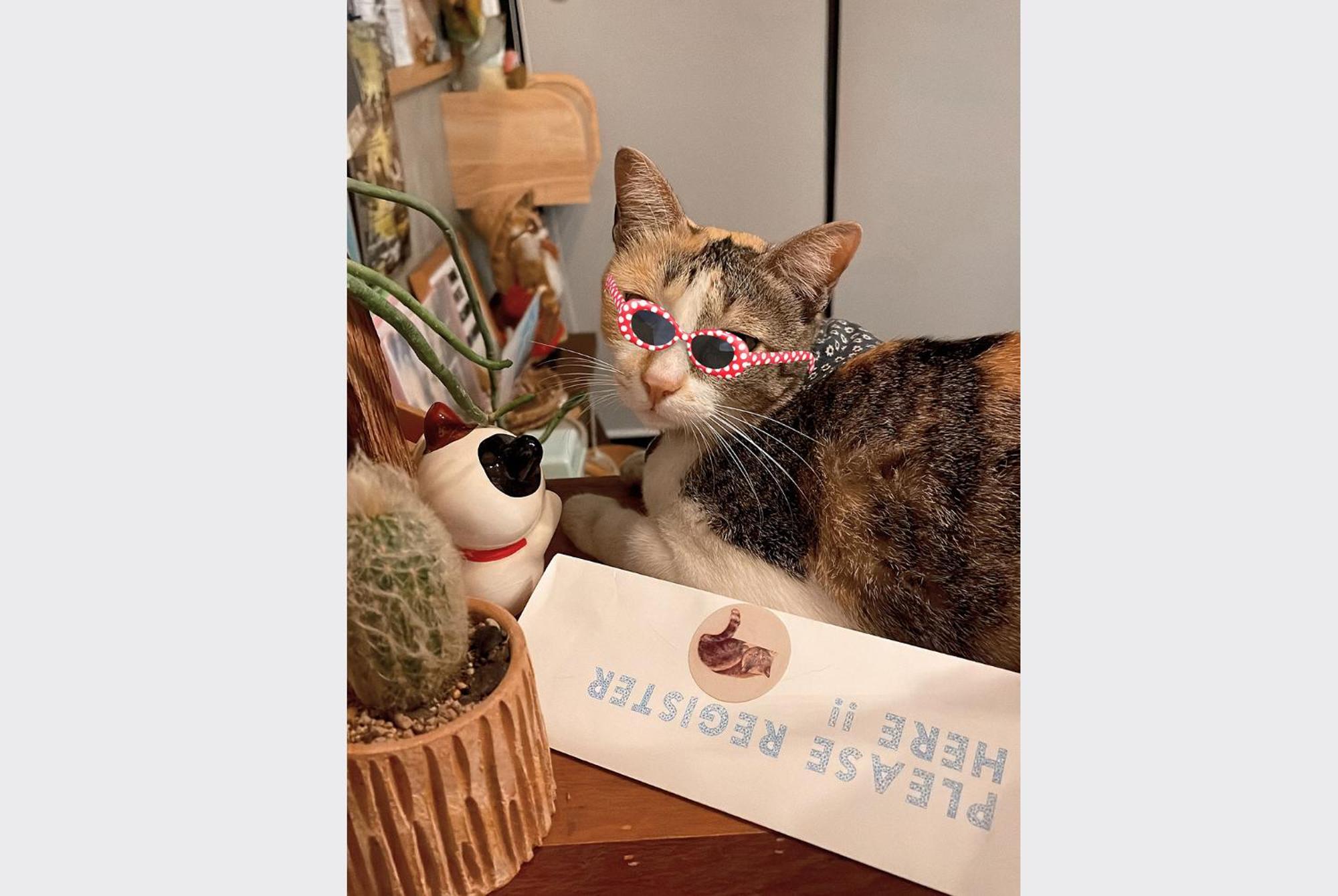 Sleepy House Chiang Rai Bed & Breakfast エクステリア 写真